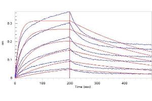 Bio-Layer Interferometry (BLI) image for SARS-CoV-2 Spike S1 protein (His tag) (ABIN6952427)