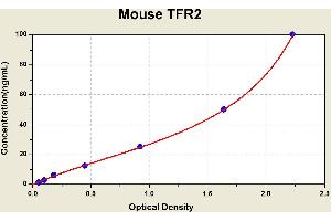 Diagramm of the ELISA kit to detect Mouse TFR2with the optical density on the x-axis and the concentration on the y-axis. (Transferrin Receptor 2 ELISA Kit)