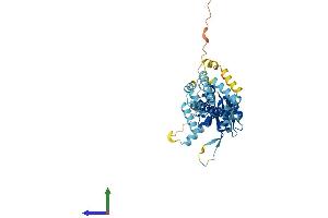 AlphaFold protein structure predicition of Human Recombinant TRABD Protein, UniprotID Q9H4I3 (TRABD Protein (AA 1-376) (His tag))