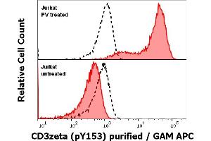 Anti-Hu CD3 zeta (pY153) purified antibody (clone EM-17) works in Flow Cytometry application Analysis of the antibody staining was performed on Jurkat cells treated or untreated with pervanadate (PV) prior to the fixation and permeabilization of cell suspension with cold methanol. (CD247 Antikörper  (Tyr153))