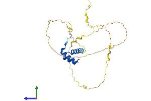 Protein Structure (PS) image for Mesenchyme Homeobox 1 (MEOX1) (AA 1-254) protein (His tag) (ABIN7554559)