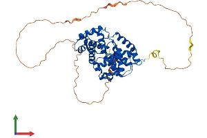Protein Structure (PS) image for Cyclin B1 (CCNB1) (AA 1-430) protein (His tag) (ABIN7563005)