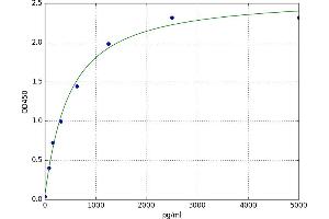 V-Maf Musculoaponeurotic Fibrosarcoma Oncogene Homolog (Avian) (MAF) ELISA Kit