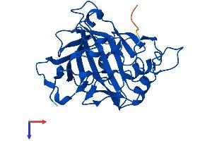 CA7 Protein (AA 1-264) (His tag)