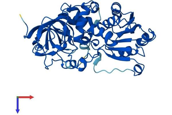 ADH6 Protein (AA 1-368) (His tag)