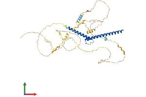 Protein Structure (PS) image for N-Myc Proto-Oncogene Protein (MYCN) (AA 1-464) protein (His tag) (ABIN7549584)