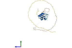 Protein Structure (PS) image for serine/arginine-Rich Splicing Factor 12 (SRSF12) (AA 1-261) protein (His tag) (ABIN7546392)