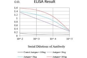 Black line: Control Antigen (100 ng),Purple line: Antigen (10 ng), Blue line: Antigen (50 ng), Red line:Antigen (100 ng) (SPA17 Antikörper  (AA 1-152))