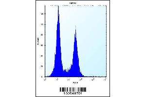 Flow cytometric analysis of Ramos cells (right histogram) compared to a negative control cell (left histogram). (UBN2 Antikörper  (N-Term))