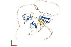 AlphaFold protein structure predicition of Human Recombinant TESMIN Protein, UniprotID Q9Y4I5