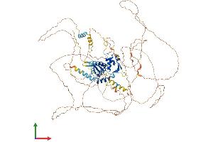 Protein Structure (PS) image for E2F Transcription Factor 7 (E2F7) (AA 1-904) protein (His tag) (ABIN7564148)