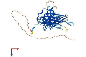 POLDIP2 Protein (AA 1-368) (His tag)