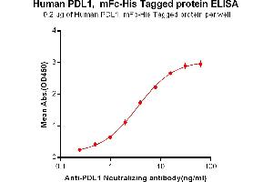 ELISA plate pre-coated by 2 μg/mL (100 μL/well) Human PD-L1, mFc-His tagged protein (ABIN6961096) can bind Anti-PDL1 Neutralizing antibody in a linear range of 0. (PD-L1 Protein (mFc-His Tag))
