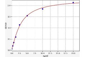 Desmoglein 1 ELISA Kit