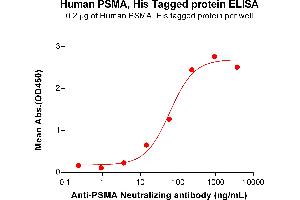 ELISA plate pre-coated by 2 μg/mL (100 μL/well) Human PSMA Protein, His Tag (ABIN7092710, ABIN7272236 and ABIN7272237) can bind Anti-PSMA Neutralizing antibody (ABIN7478020 and ABIN7490988) in a linear range of 3.