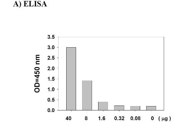 c-MET ELISA Kit