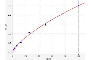 ICAM-3/CD50 ELISA Kit