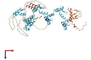 AlphaFold protein structure predicition of Human Recombinant ZNF790 Protein, UniprotID Q6PG37