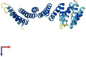 NAPB Protein (AA 1-298) (His tag)