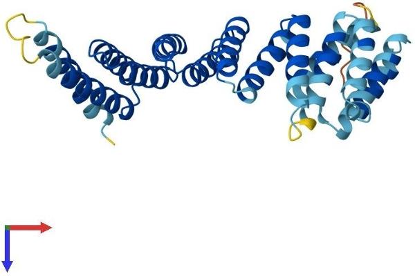 NAPB Protein (AA 1-298) (His tag)