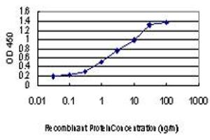 Detection limit for recombinant GST tagged CDKL1 is approximately 0. (CDKL1 Antikörper  (AA 259-358))