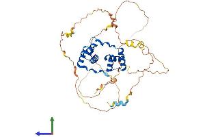 AlphaFold protein structure predicition of Human Recombinant DUX4L3 Protein, UniprotID P0CJ86