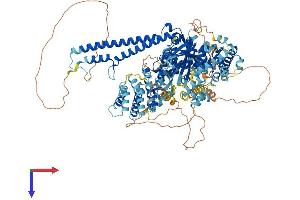 USP28 Protein (AA 1-1077) (His tag)