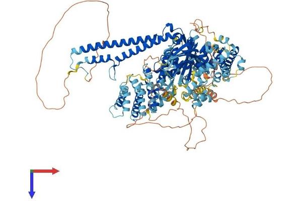 USP28 Protein (AA 1-1077) (His tag)