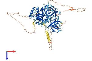 GSPT2 Protein (AA 1-632) (His tag)