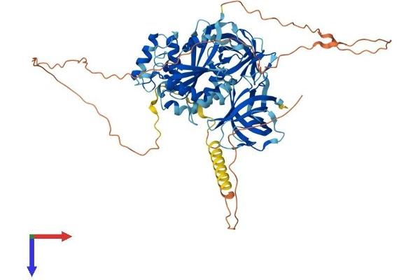 GSPT2 Protein (AA 1-632) (His tag)