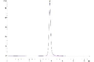 The purity of Cynomolgus AXL is greater than 95 % as determined by SEC-HPLC. (AXL Protein (AA 33-449) (His tag))