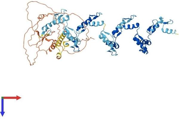 ZNF256 Protein (AA 1-627) (His tag)