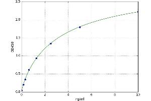 A typical standard curve (RGS1 ELISA Kit)