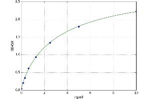 Regulator of G-Protein Signaling 1 (RGS1) ELISA Kit