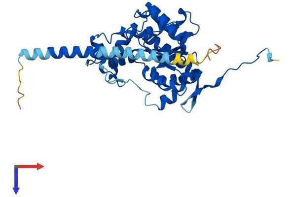 HS2ST1 Protein (AA 1-356) (His tag)