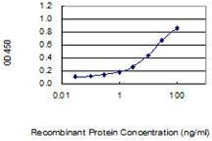 ELISA image for anti-Tubulin, beta 2A (TUBB2A) (AA 1-445) antibody (ABIN521143)