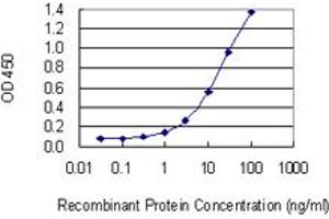 Detection limit for recombinant GST tagged HELLS is 0. (HELLS Antikörper  (AA 1-348))