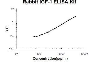 Rabbit IGF-1 PicoKine ELISA Kit standard curve (IGF1 ELISA Kit)
