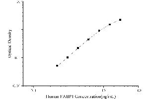 Typical Standard Curve