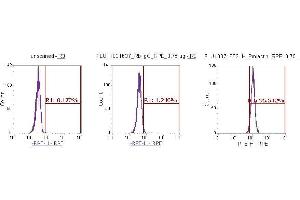 Flow Cytometry (FACS) image for anti-Prolactin (PRL) (AA 29-227) antibody (PE) (ABIN5566088)