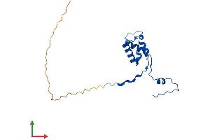AlphaFold protein structure predicition of Mouse Recombinant Mrpl50 Protein, UniprotID Q8VDT9