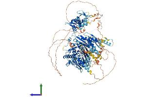 AlphaFold protein structure predicition of Mouse Recombinant Adar Protein, UniprotID Q99MU3 (ADAR Protein (AA 1-1178) (His tag))