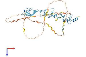 FBLIM1 Protein (AA 1-373) (His tag)