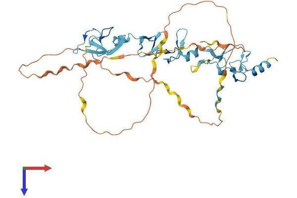 FBLIM1 Protein (AA 1-373) (His tag)