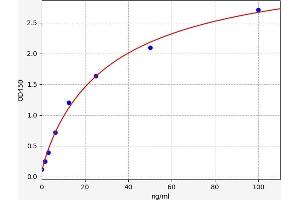 Annexin A2 (ANXA2) ELISA Kit