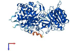 NDOR1 Protein (AA 1-598) (His tag)