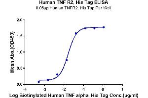 Immobilized Human TNFR2, His Tag at 0. (TNFRSF1B Protein (AA 23-257) (His tag))