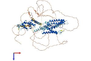Kv2.2 Protein (AA 1-911) (His tag)