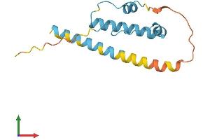 AlphaFold protein structure predicition of Human Recombinant KRBOX1 Protein, UniprotID C9JBD0