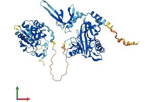 AlphaFold protein structure predicition of Mouse Recombinant Rngtt Protein, UniprotID O55236